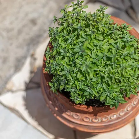 アパート Vasiliki