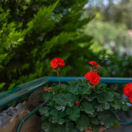 Vasiliki Apartamento Stoúpa