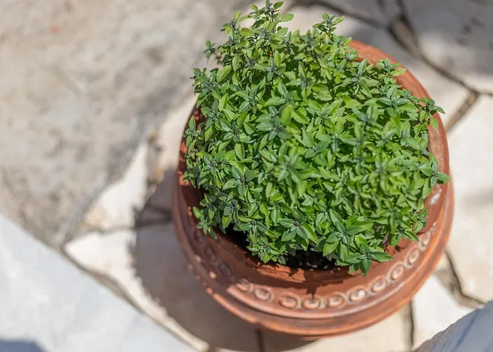 Apartamento Vasiliki